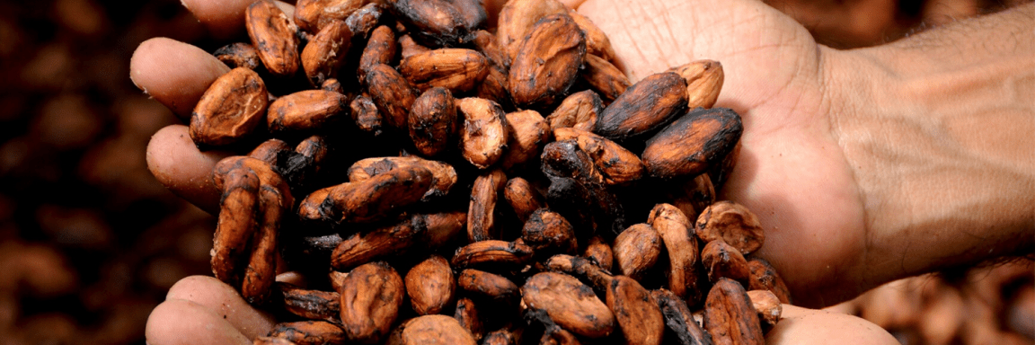 Ghana Research Team: Experiences from&nbsp;2017-2020