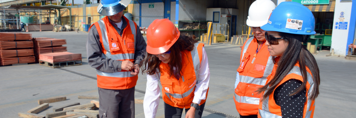 Abnormal Pricing in Peruvian Copper Concentrate Exports: Key recommendations for empirical&nbsp;studies